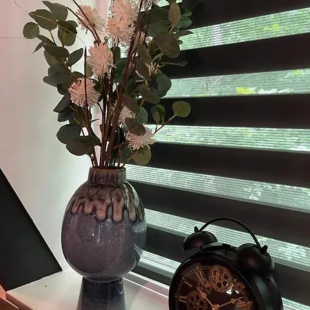 Hébergement de vacances Bois D' Azur